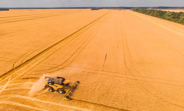 agro_argentino_vs_brasil-215528